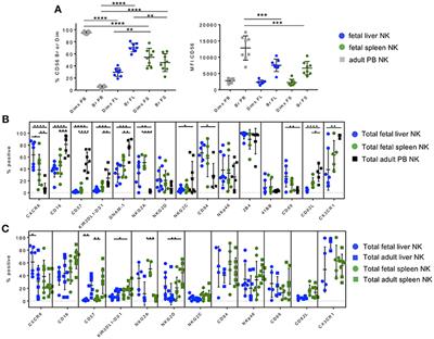 CXCR6+ NK Cells in Human Fetal Liver and Spleen Possess Unique Phenotypic and Functional Capabilities